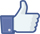 Facebook like icon